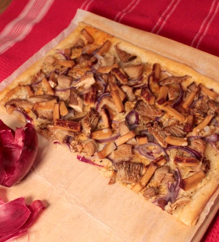 FlammkuchenAusternpilz